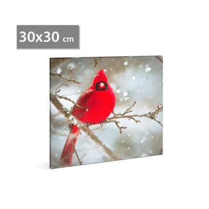 LED-es fali kép - vörös pinty - 30 x 30 cm