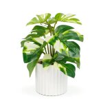 Műnövény dekoráció - filodendron - zöld/sárga - 20 x 8 cm