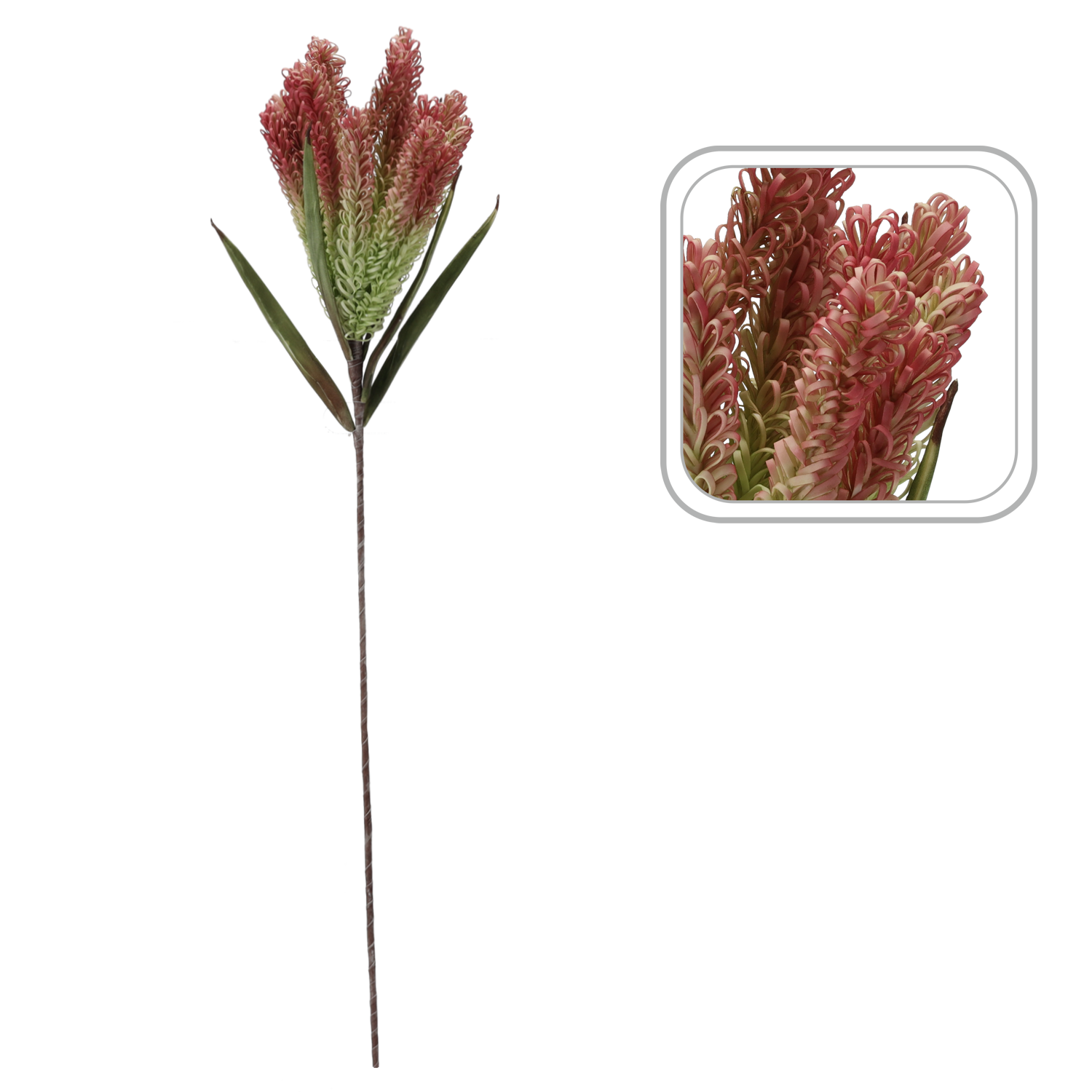 10550_2.png