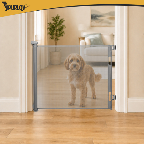 19443_14-1.jpg