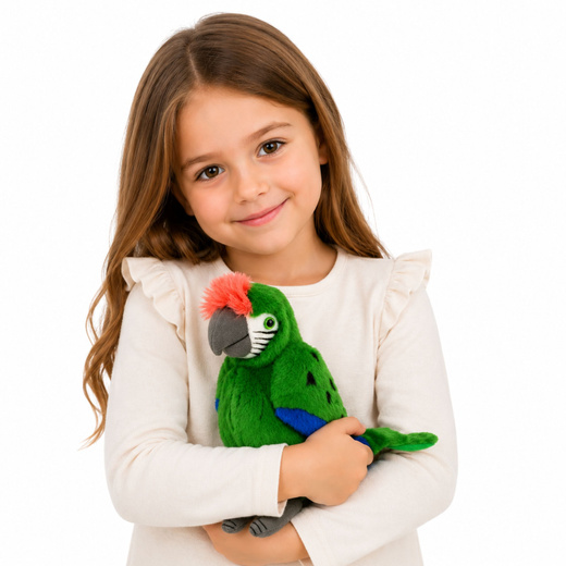 31275_2-3.jpg