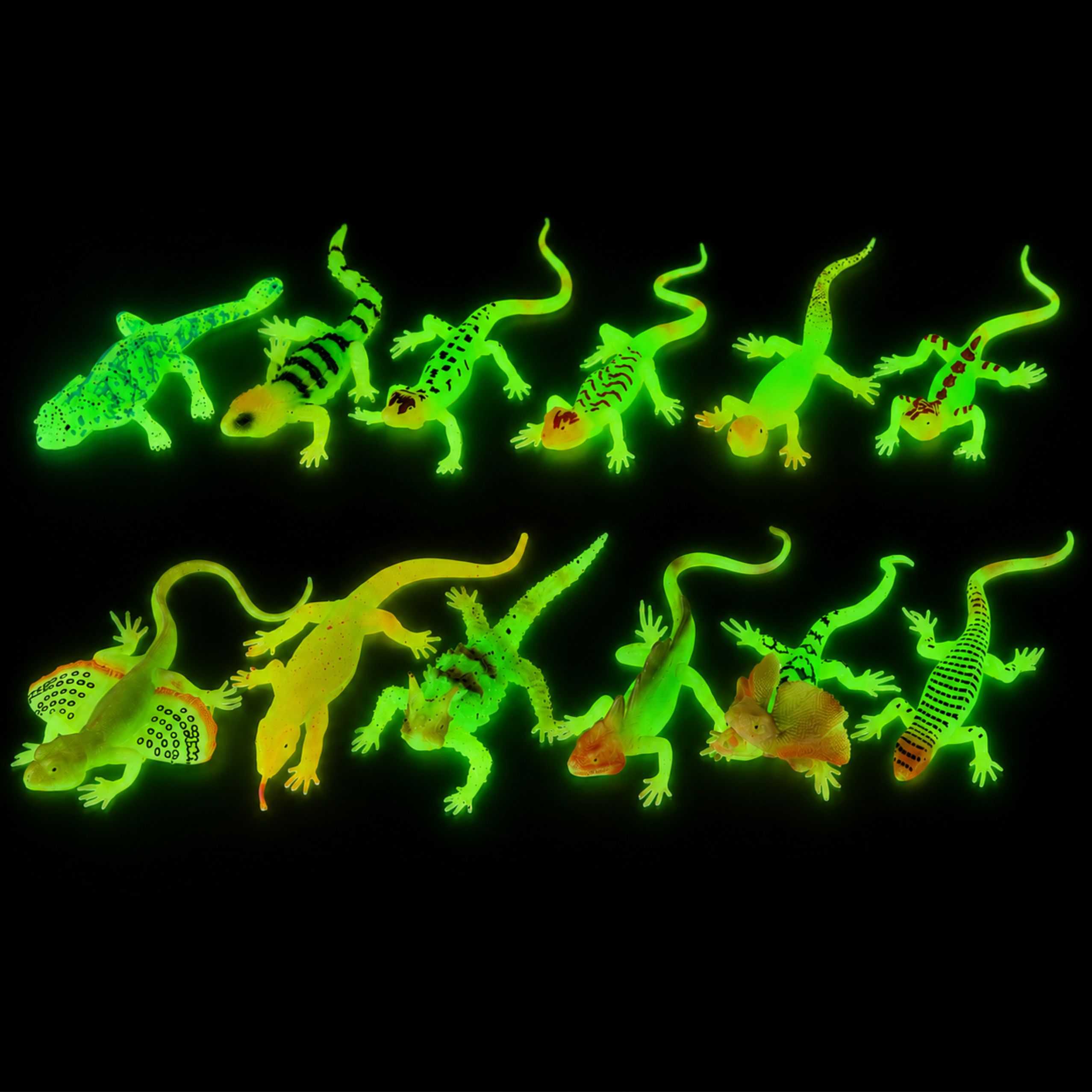 31595_5-1-1.jpg