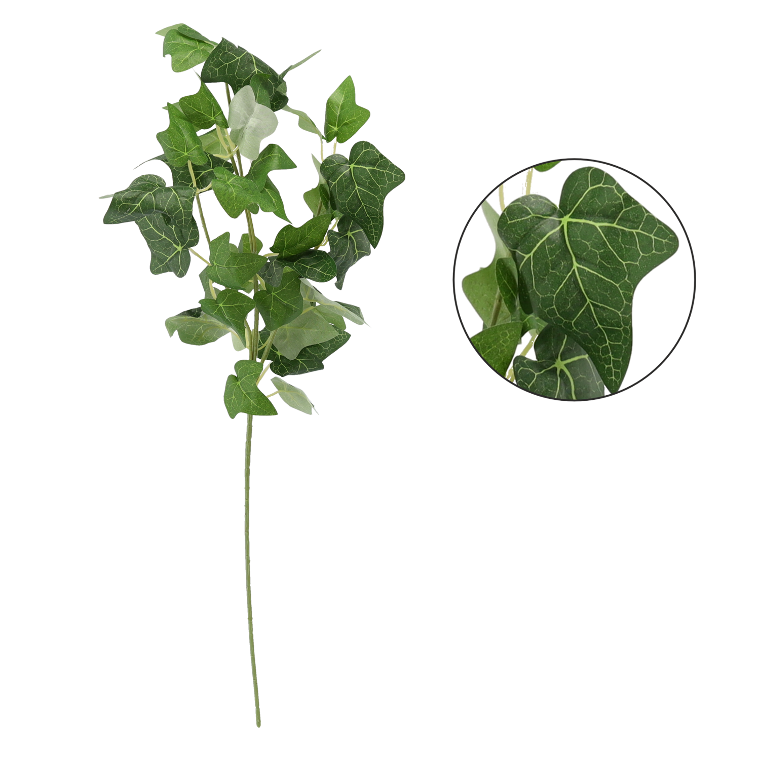 3938_1-1.png