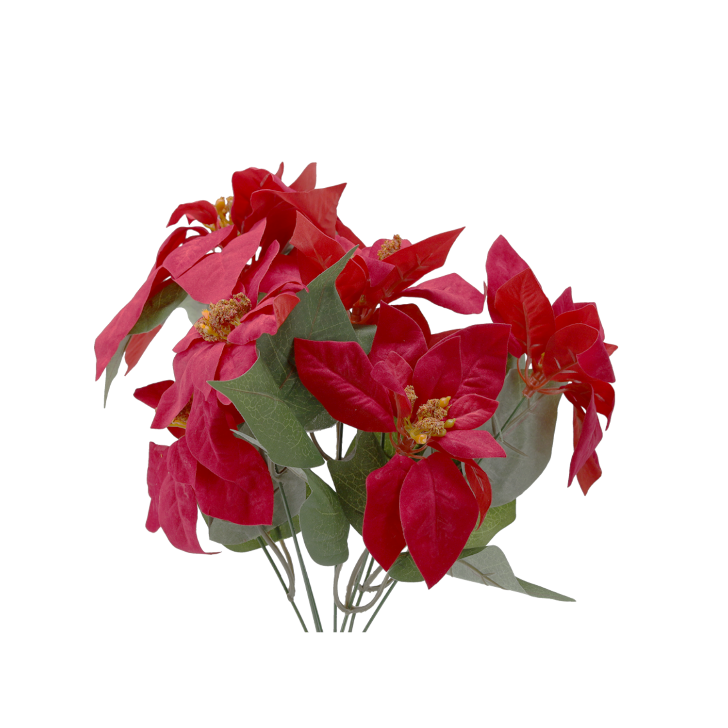 6671_1.png