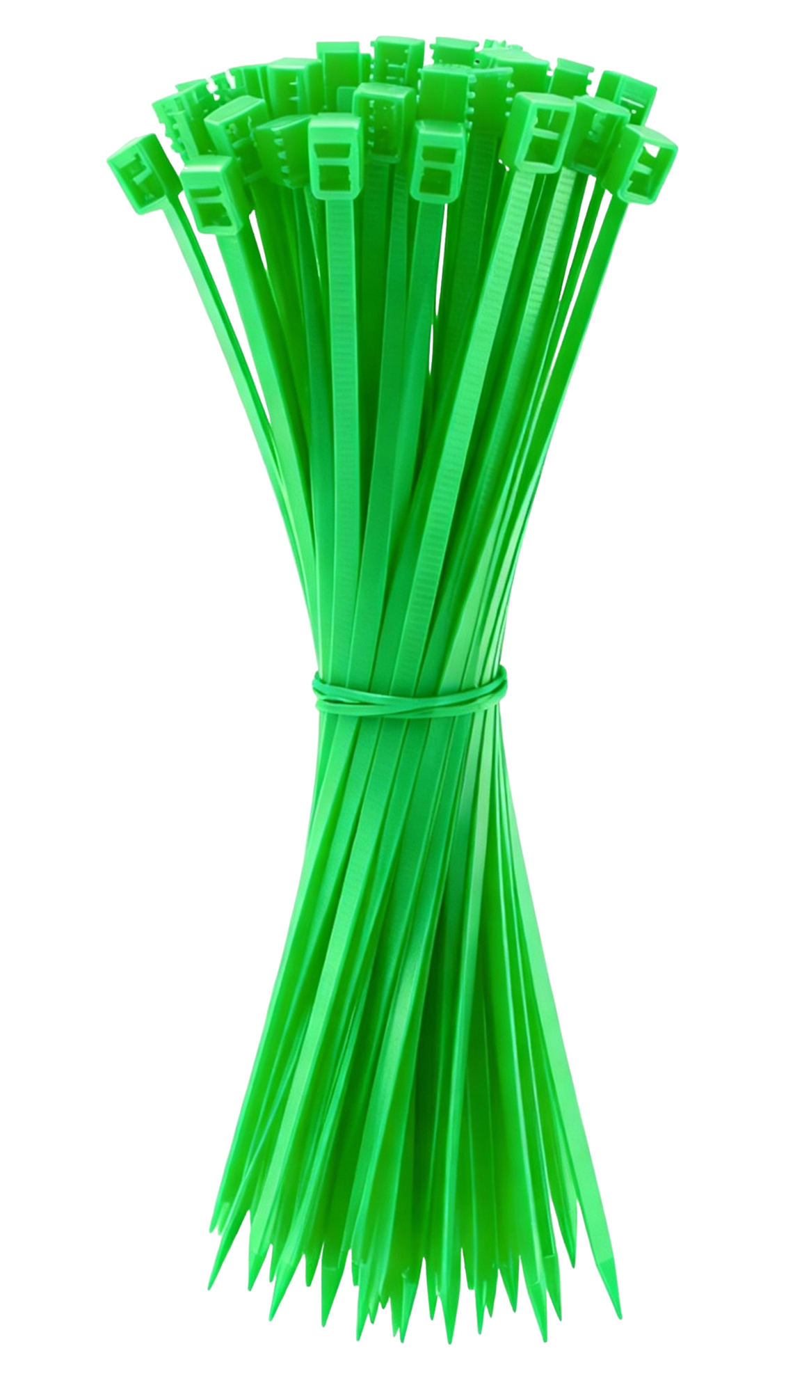 8896_10-1.png