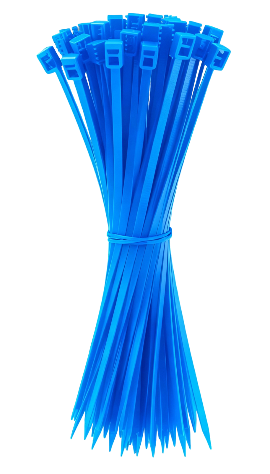 8896_12.png