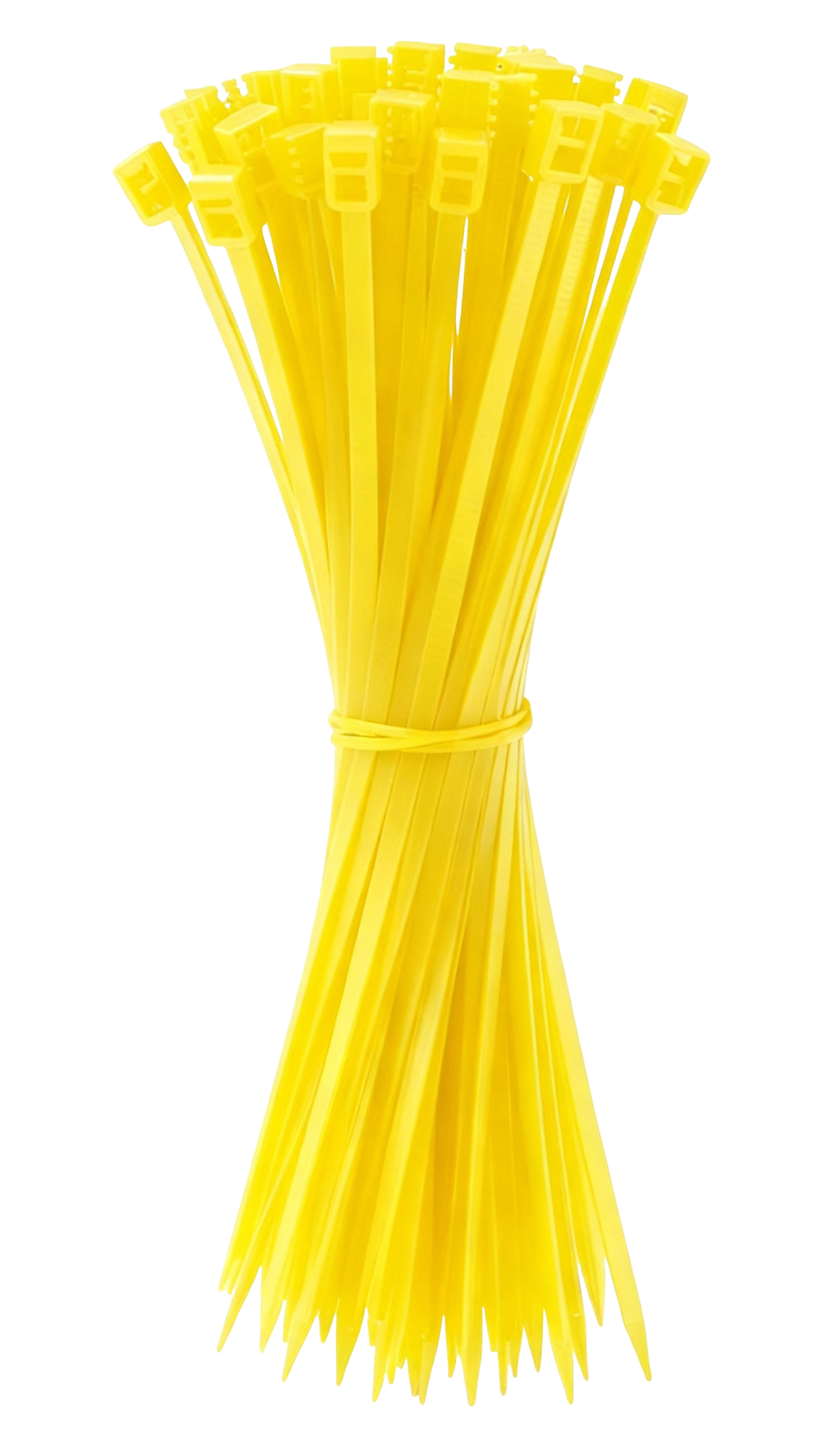8896_9-1.png