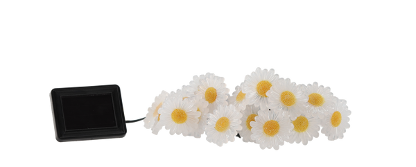 9190_2-2.png
