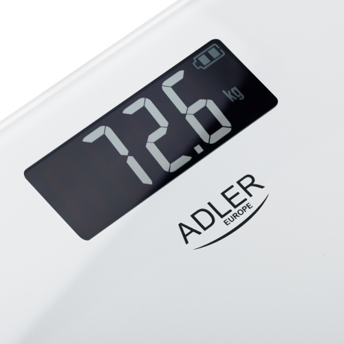 ad_8194w_2.jpg