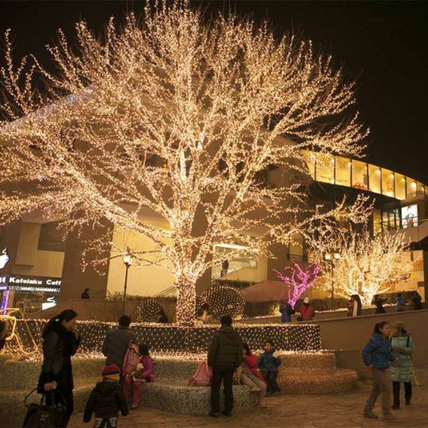 lampki-choinkowe-swiateczne-200-led-bialy-cieply-1.jpg